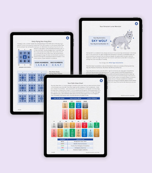 Feng Shui Digital Journal for 2026 – FSMegamall.com