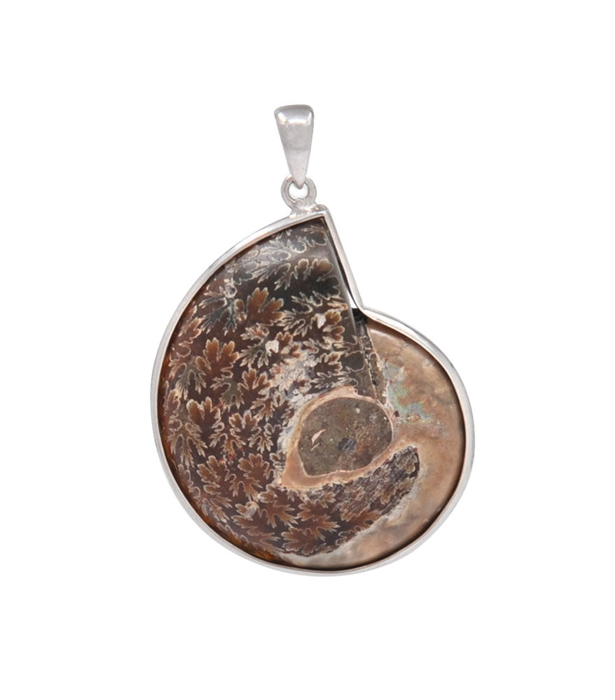 Ammonite Shell Pendant