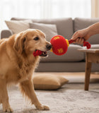 Chinese Lantern Dog Toy