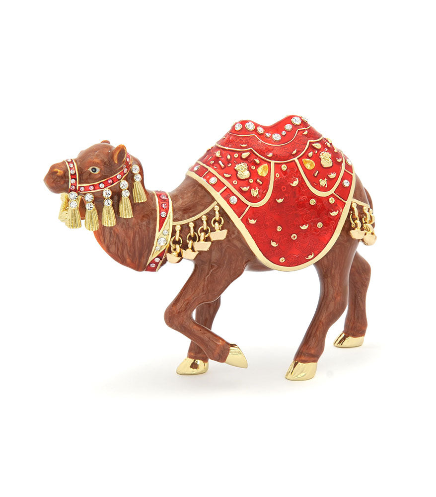 FINAZ - CAMEL