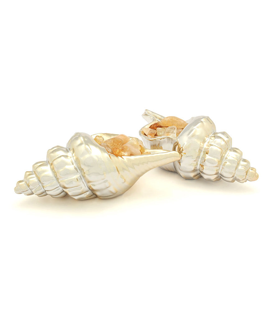 A Pair of Conch Shells