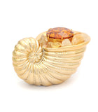 Golden Conch with Golden Wish Jewel & Citrine Gemstones
