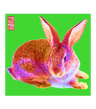Lillian Too's Horoscope Art - Rabbit
